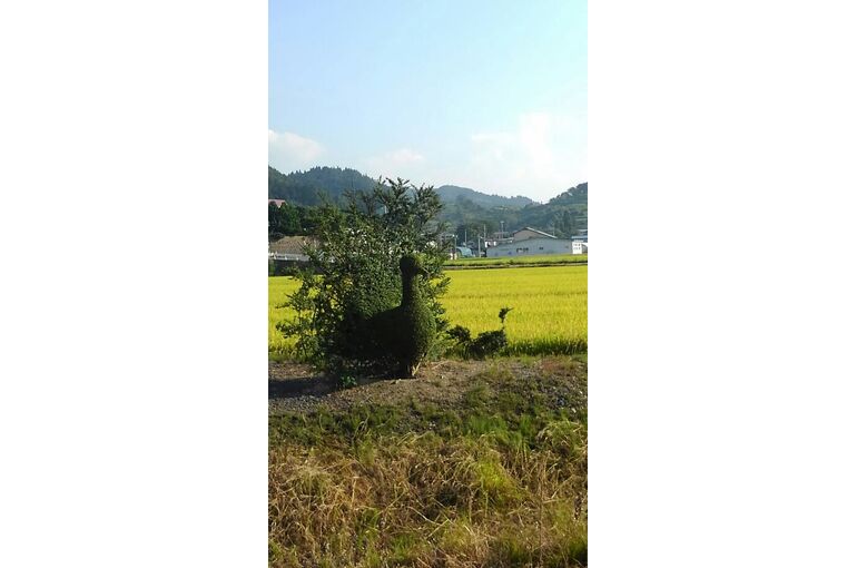 芸術の秋